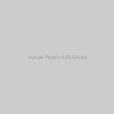 Image of Human Pepsin A ELISA Kit